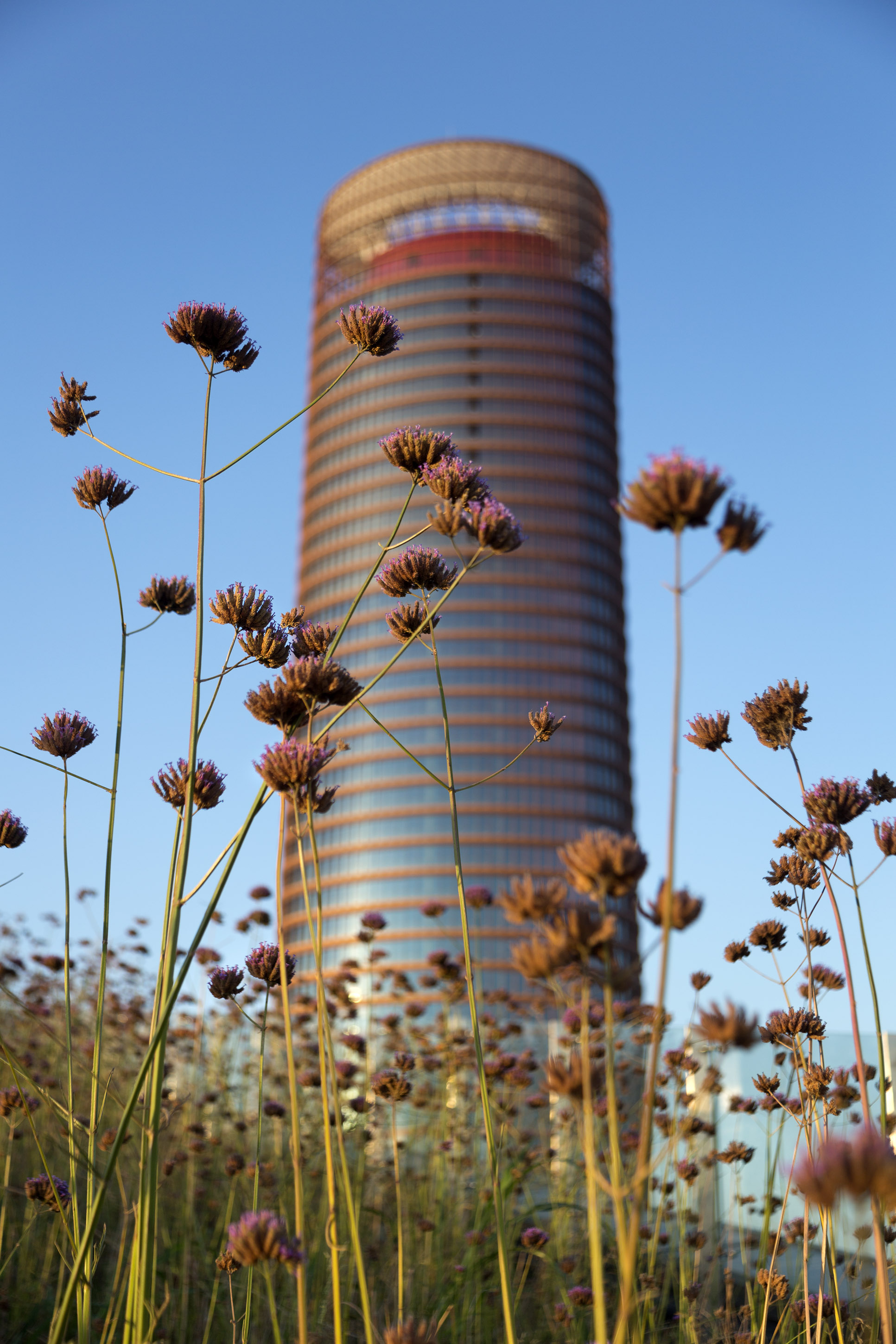 La Diputación de Badajoz visita el Centro Comercial TORRE SEVILLA como referencia de construcción sostenible