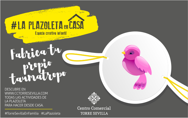 LA PLAZOLETA EN CASA Fabrica tu propio taumatropo