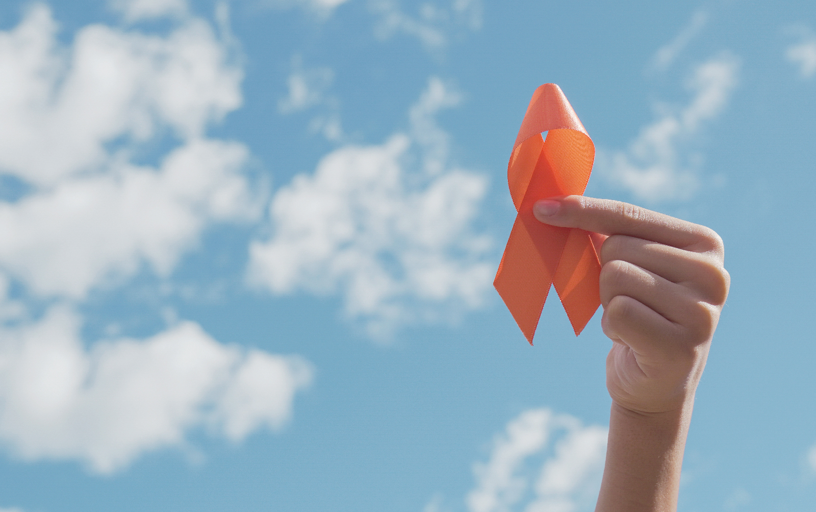 El Centro Comercial TORRE SEVILLA y la Asociación Marco Luna celebran la Semana de la Leucemia 