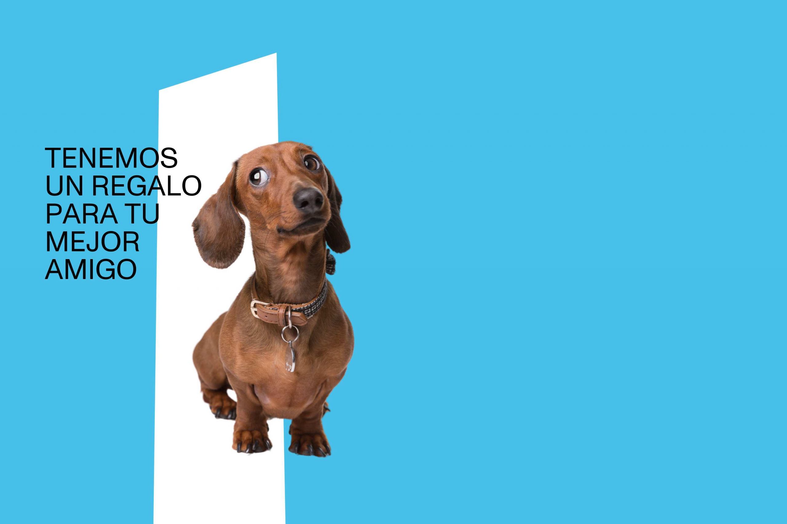 Tenemos un regalo para tu mejor amigo