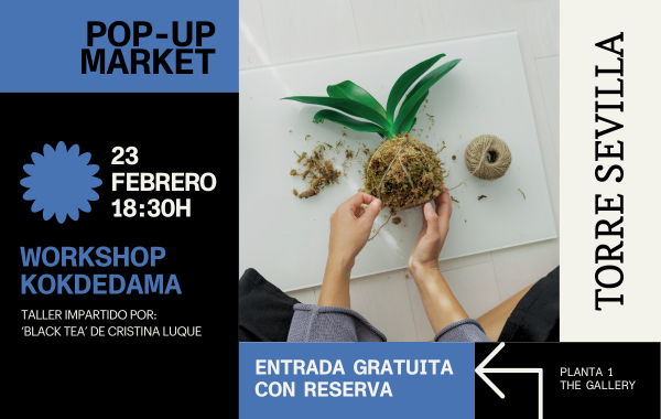 23 de Febrero – Workshop Kokedama